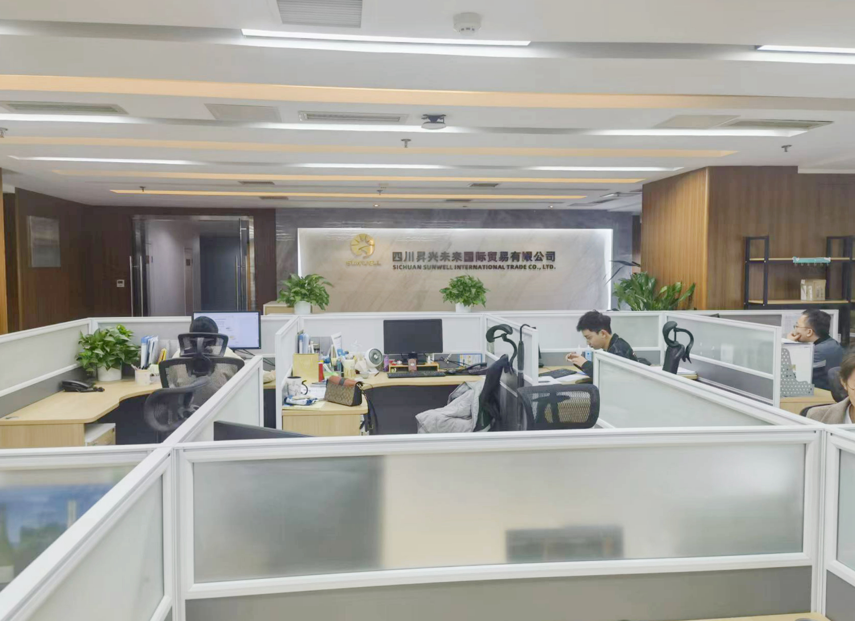 四川昇兴未来国际贸易有限公司